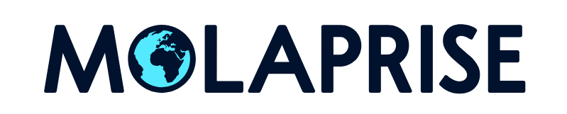 Molaprise Store