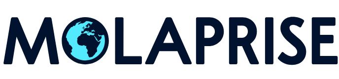 Molaprise Store